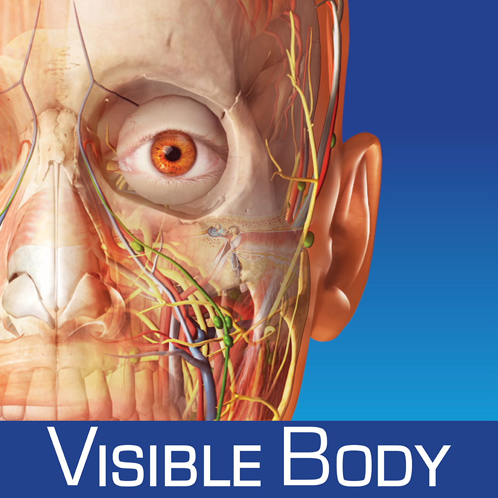 Download Visible Body 3d Human
